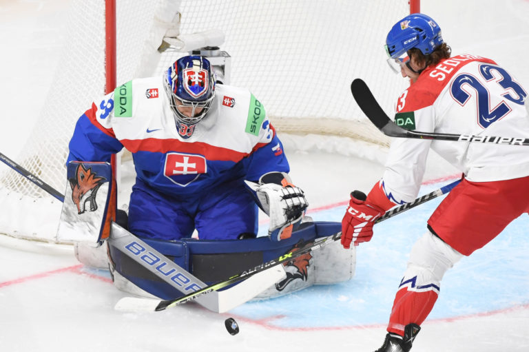 Zápas Slovensko - Česko. Foto Baumann/TASR.