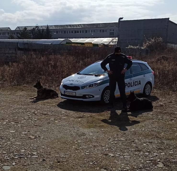 ilustračné foto polícia