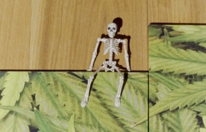 Legalizácia marihuany je veľmi nebezpečná chyba