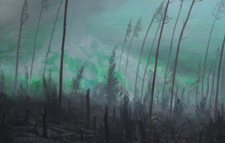 Miroslav Sandanus - Reflection