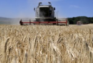 Štát chystá milióny eur na podporu spracovania a mladých farmárov