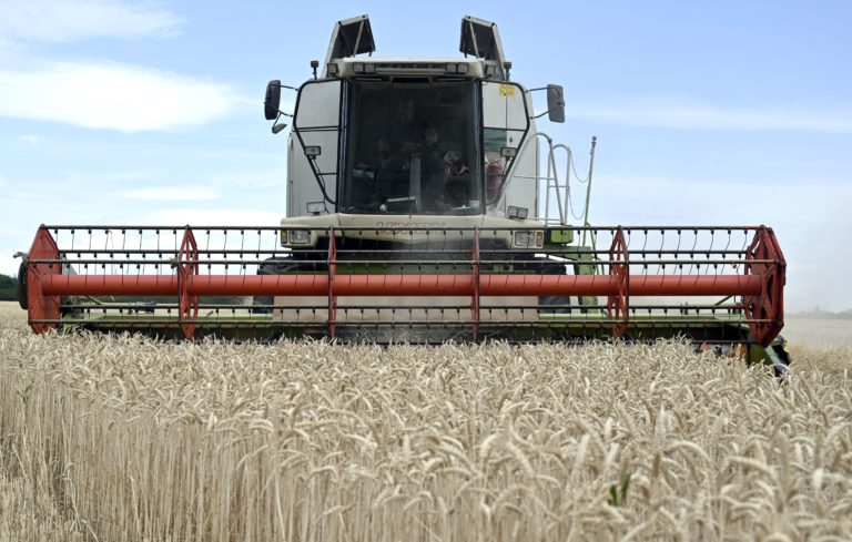 EÚ zakázala dovoz pšenice, kukurice, repky a slnečnice z Ukrajiny do piatich krajín vrátane Slovenska