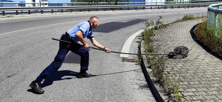 Kuriózny prípad: Policajný kynológ zachránil dvanásť divých kačíc