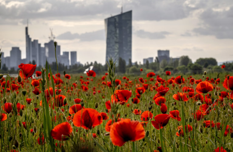 Na snímke rozkvitnuté vlčie maky neďaleko budovy Európskej centrálnej banky (ECB) v nemeckom Frankfurte nad Mohanom 24. mája 2023. Foto: TASR/AP