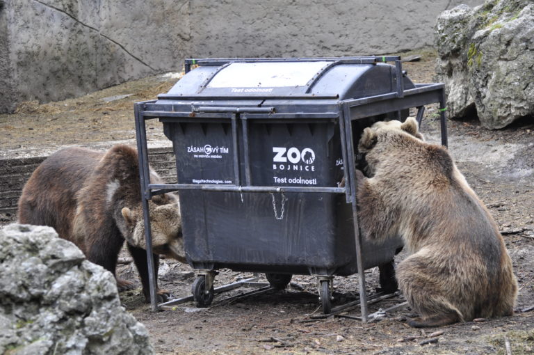 Obce môžu získať dotáciu na ochranu kontajnerových stojísk pred medveďom