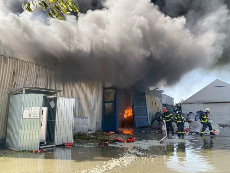 Video zásahu hasičov v Rovinke. Rozsiahly požiar pri Bratislave sa podarilo lokalizovať