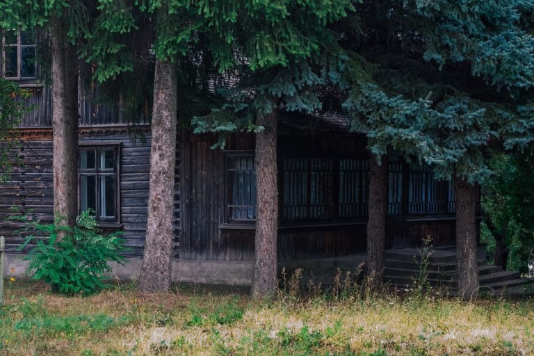 Ilustračný záber. Foto: jimmyxrose/Pixabay