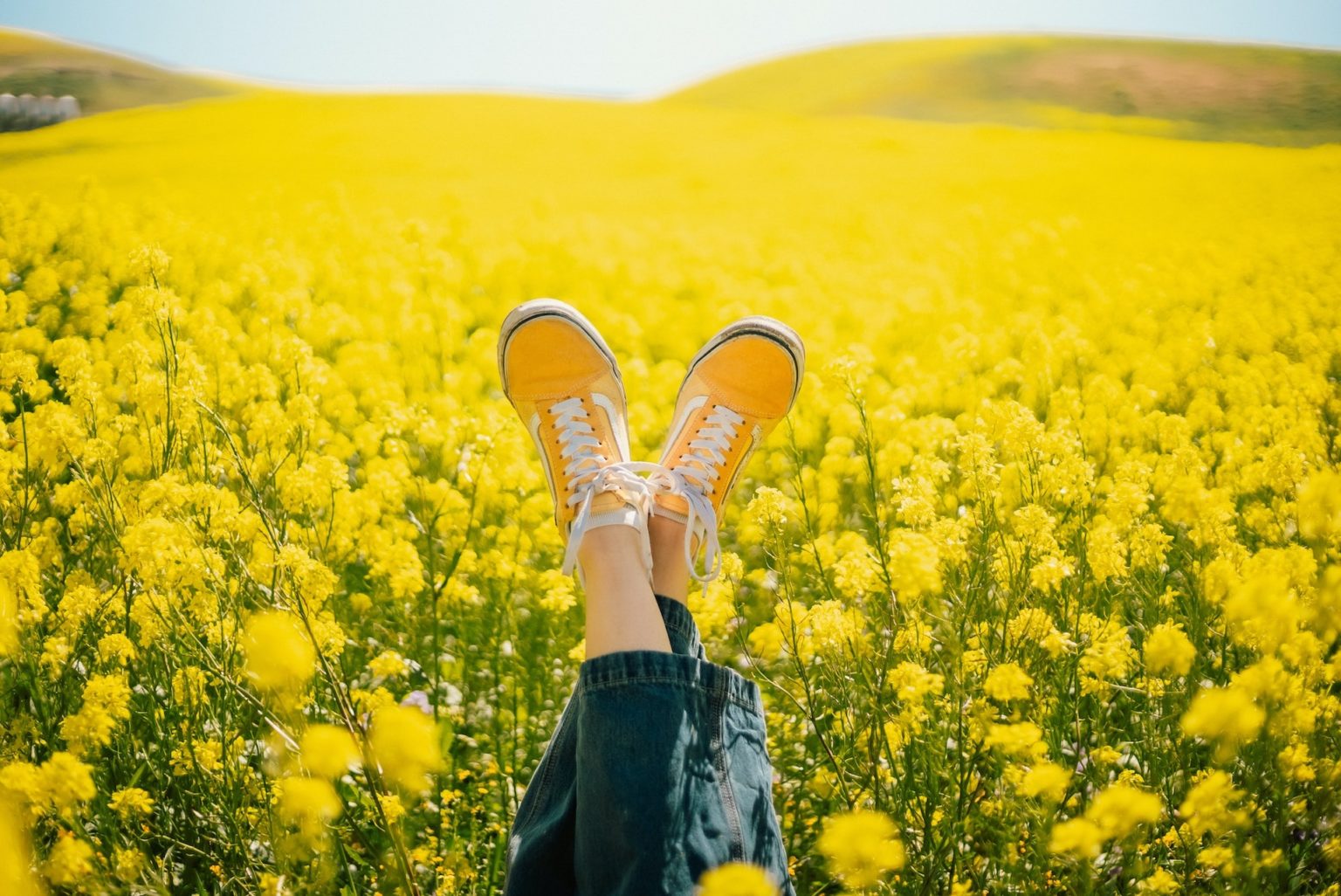 Ilustračné foto: Pexels.com