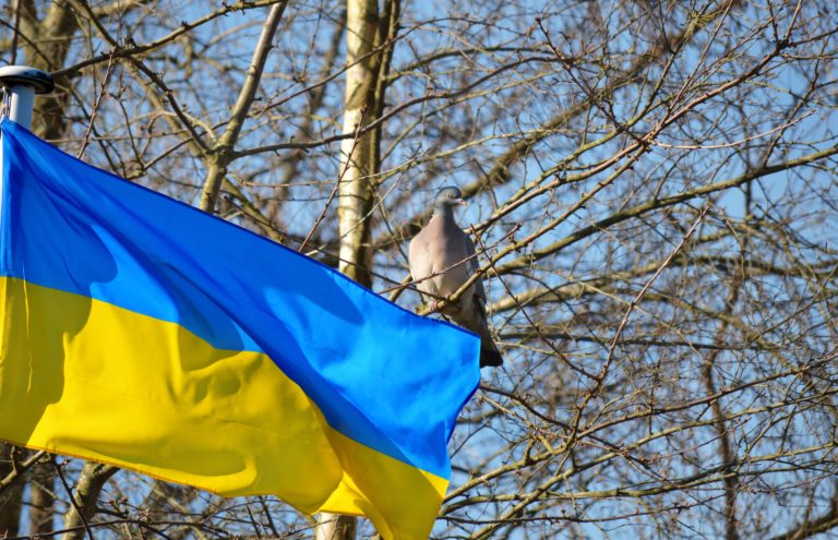 Vlajka Ukrajiny. Foto: Pixabay.com