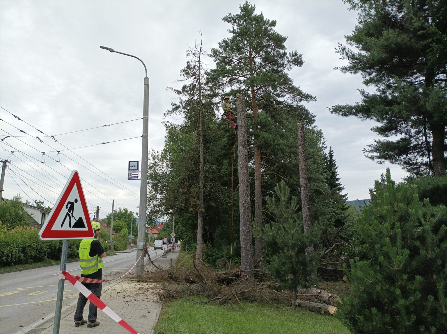 Dva stromy v parku museli spíliť. Foto: Ľubomír Chochula