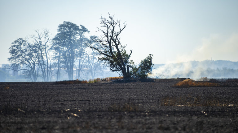 Hasiči zlikvidovali požiar obilného poľa pri Bratislave