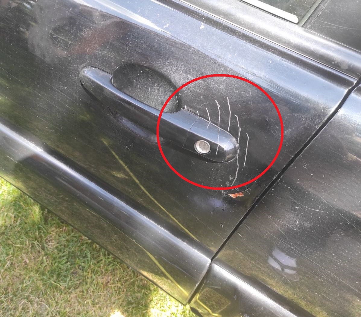 Medveď poškodil Jozefovi našťastie len auto. Foto: FB Marek Belák