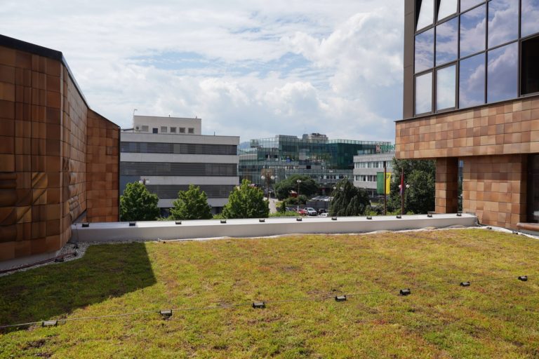 Mesto má na úrade unikátnu zelenú strechu