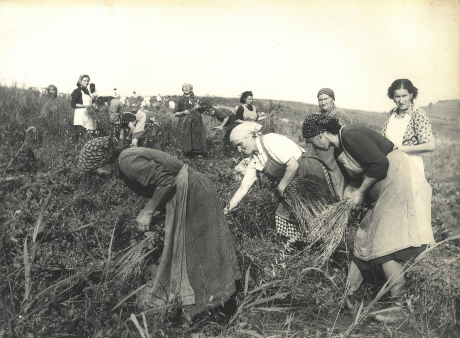Liptovský Mikuláš o rok privíta výstavu retro fotografií. Foto: Liptovská galéria Petra Michala Bohúňa/facebook