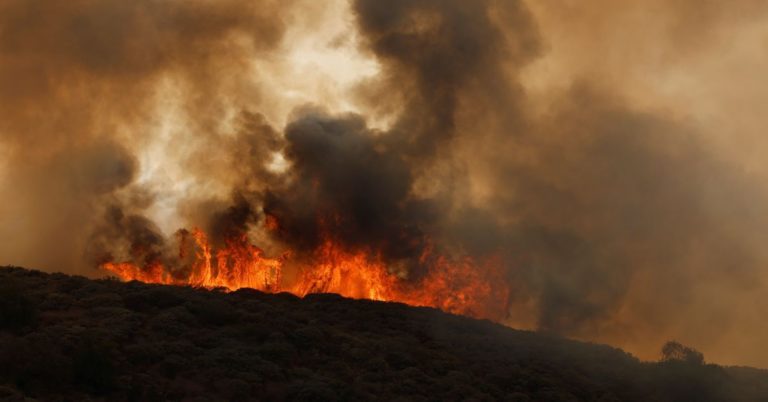Požiar na ostrove Gran Canaria. Foto: Twitter/Reuters
