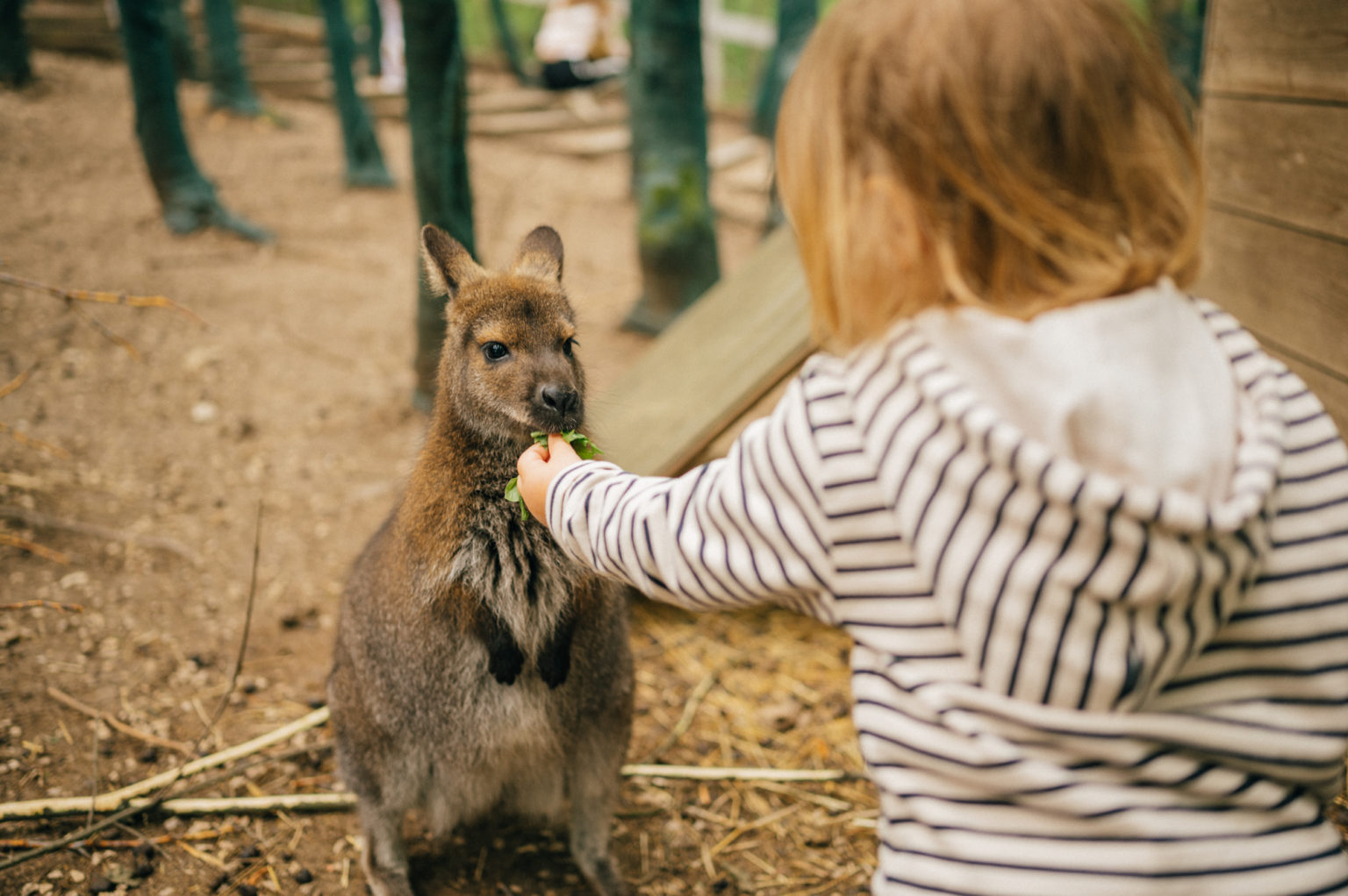 Rozhodujete sa, kam na výlet s vašimi ratolesťami? Foto: Katarína Ježíková/FarmaPARK Lubina