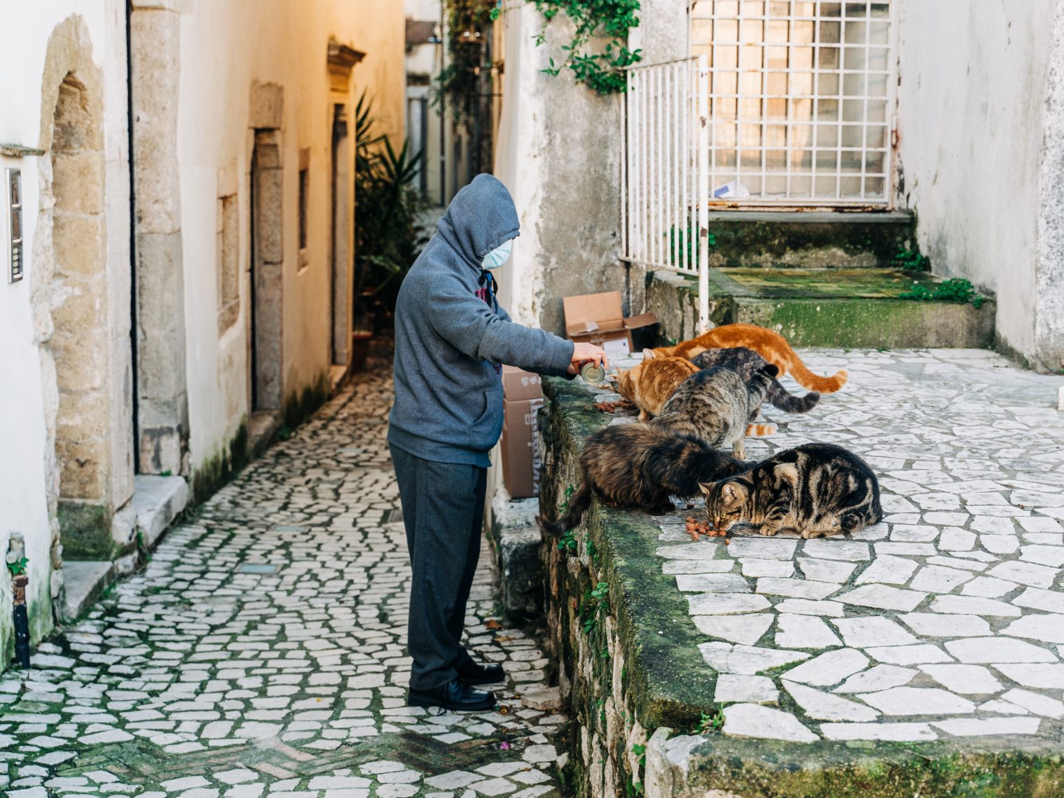 Muž v rúšku kŕmi mačky. Foto: Unsplash/Gabriella Clare Marino