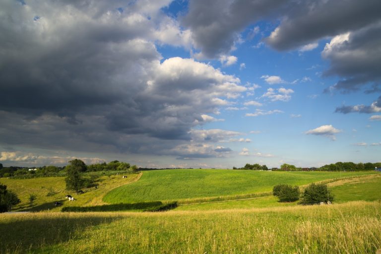 Ilustračná fotografia. Zdroj: pixabay