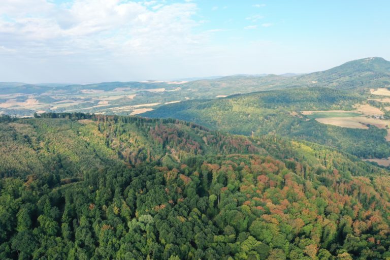 Poznáte značky na stromoch v lese?