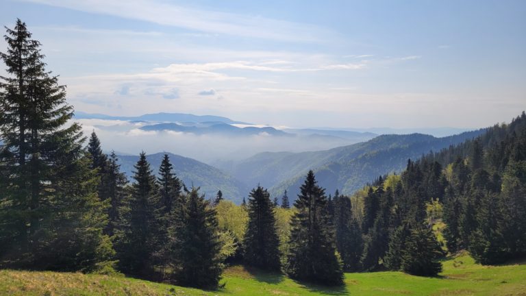 Švajčiari finančne podporia rozvoj slovenských národných parkov