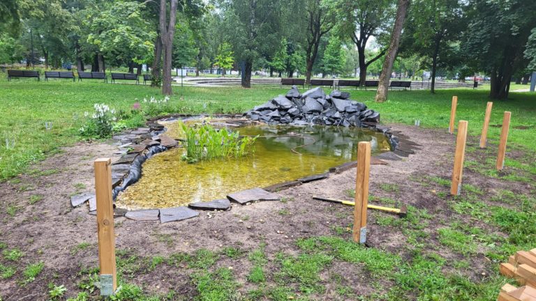 Skvelá správa po troch mesiacoch: Jazierko pre žaby prešlo úpravami