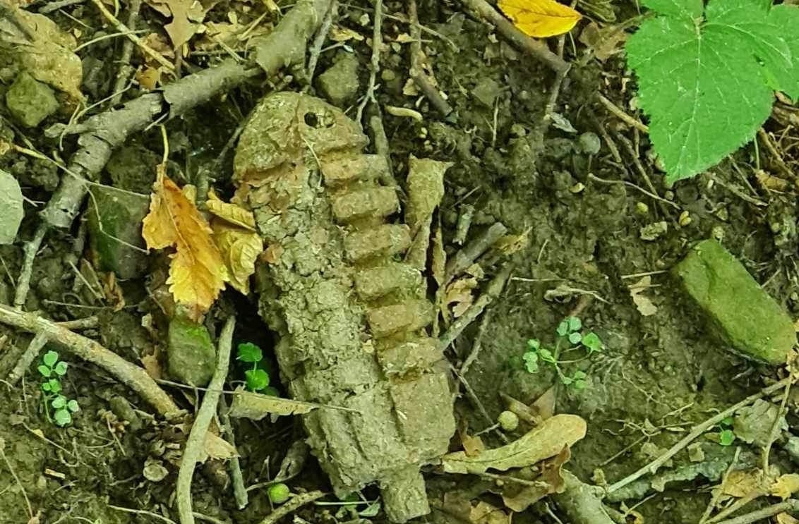Muž z obce Šandal našiel namiesto húb protitankovú mínu