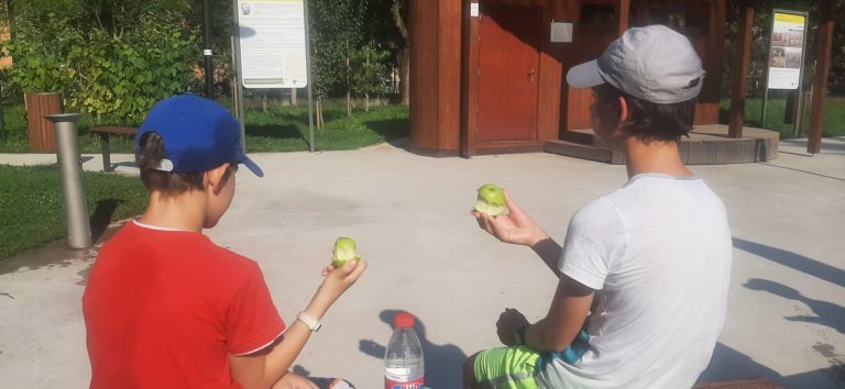 Deti v Žiline môžu jesť ovocie zadarmo