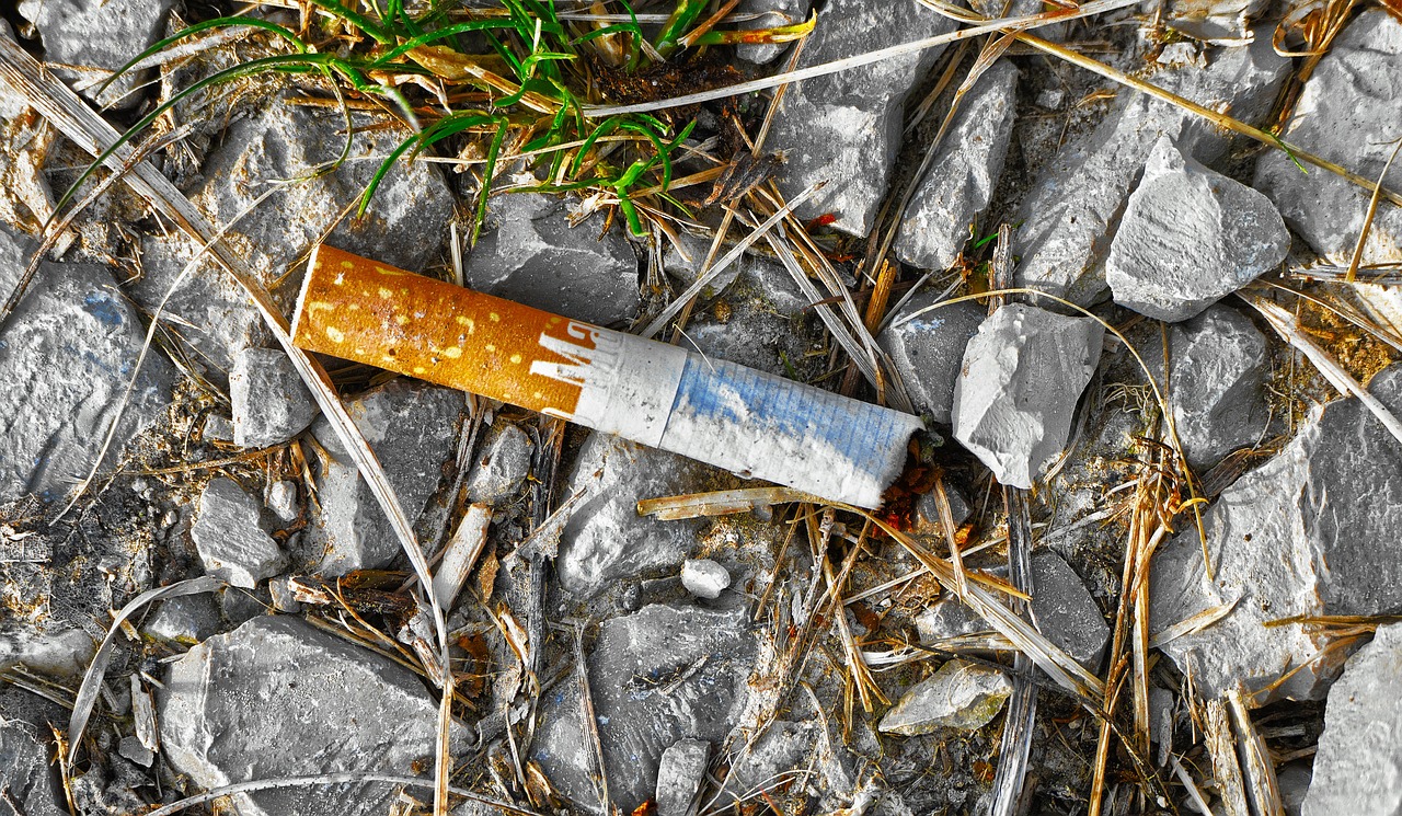 Vo voľne pohodenom odpade dominovali cigaretové ohorky a rôzne plasty
