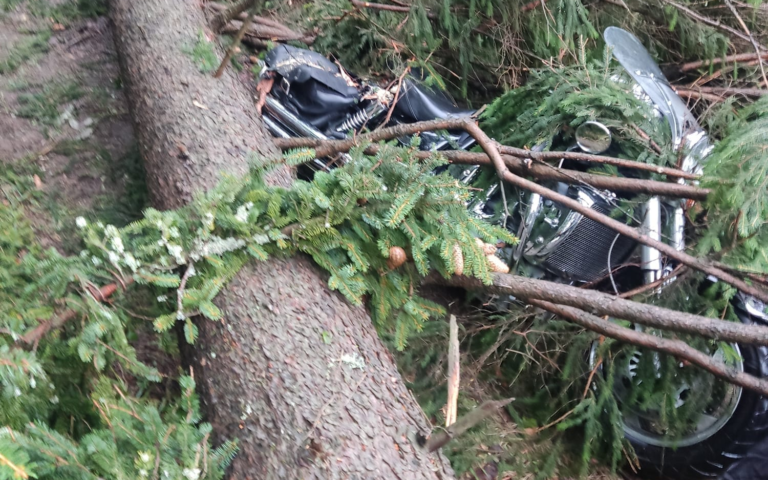 Kritická situácia pre výpadok elektriny po búrke vo viacerých okresoch Žilinského kraja