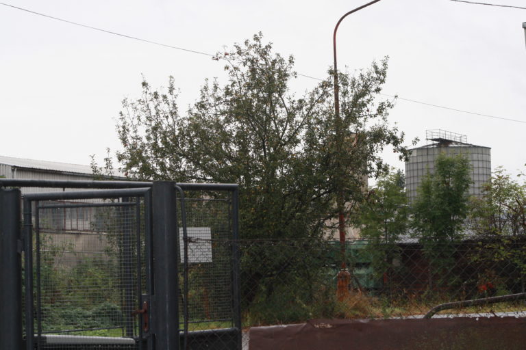 Prípad skladovania rádioaktívnych materiálov na družstve bol pred súdom