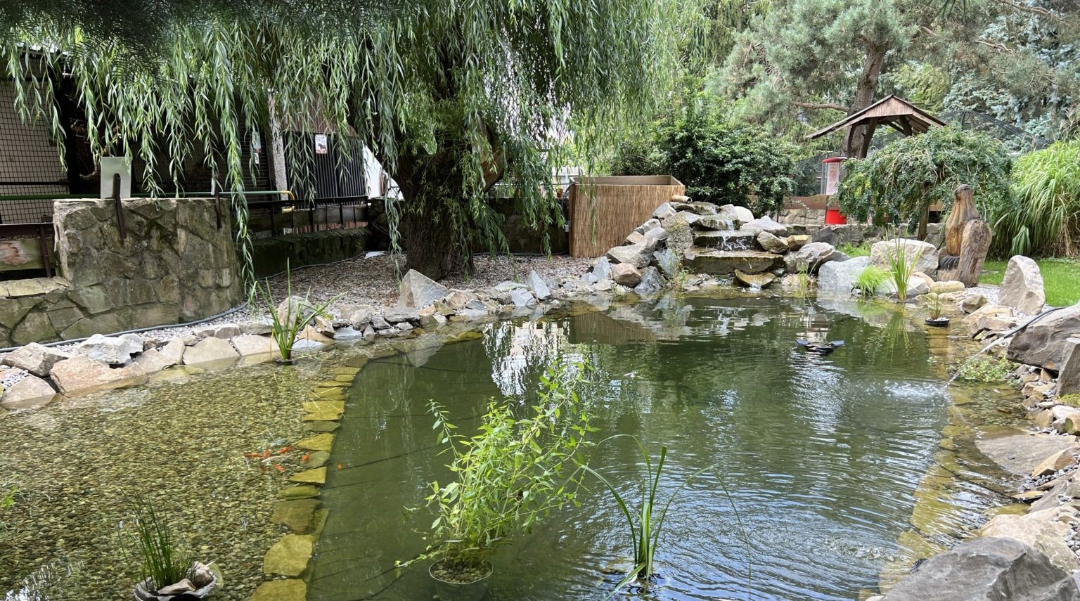 Parku zvierat v Stropkove sa darí: Najväčší záujem je o tieto zvieratá