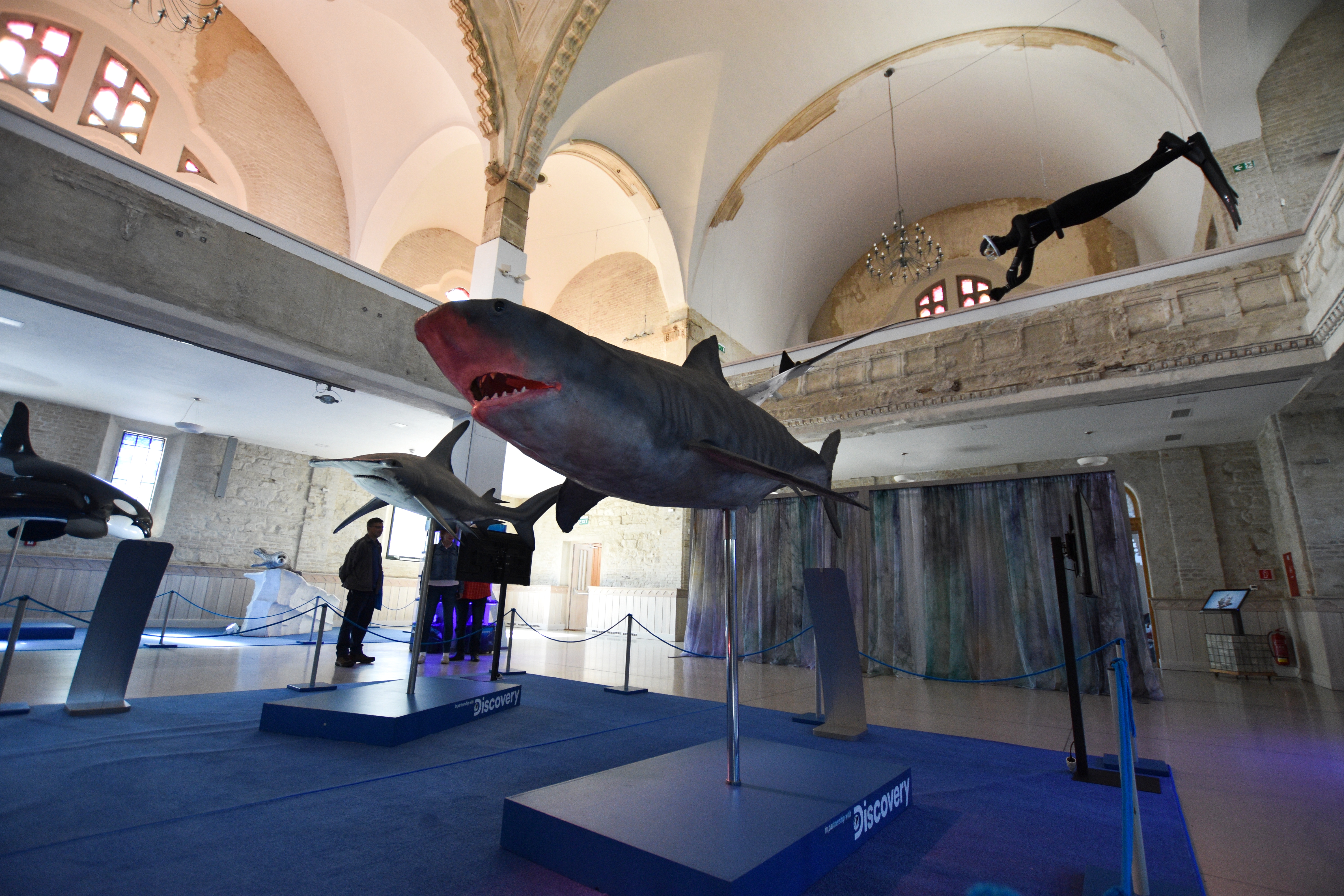 V historickej synagóge vystavujú obrov oceánov v životných veľkostiach