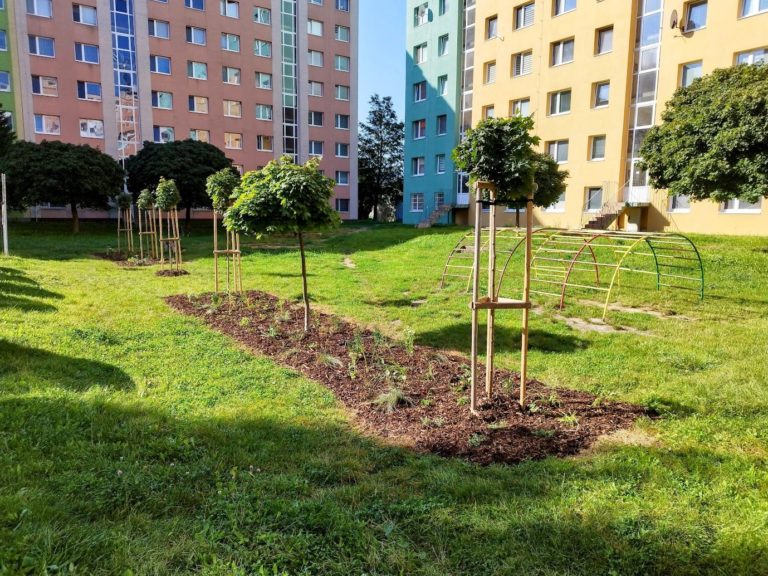Na sídlisku Západ na Spiši sa pokúsia presadiť javory a čerešňu