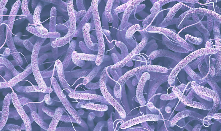 Nebezpečná baktéria sa šíri vodou, varujú odborníci