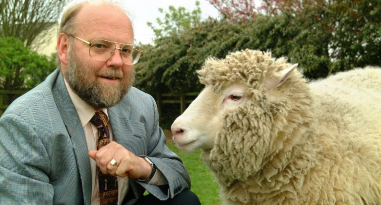 Zomrel vedúci tímu, ktorý naklonoval ovcu Dolly
