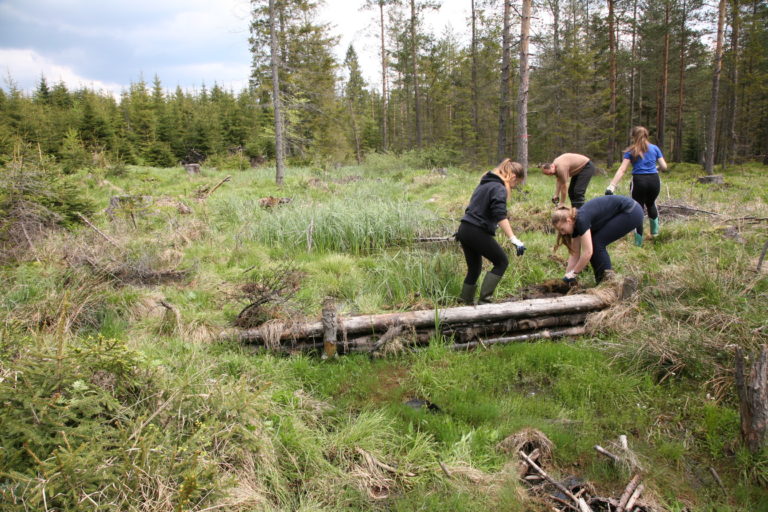 Spojili sily pre dobrú vec: Dobrovoľníci zachraňujú tisíce rokov starý poklad