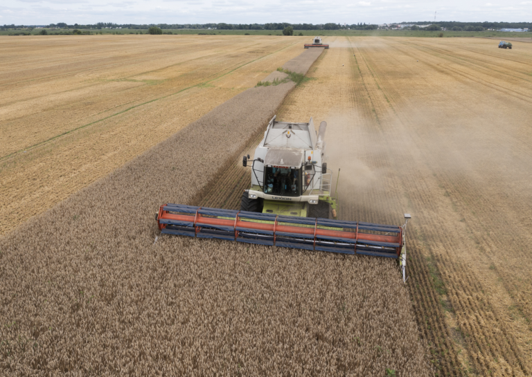 Ukrajina bude žalovať Slovensko, Maďarsko a Poľsko za zákaz dovozu obilia