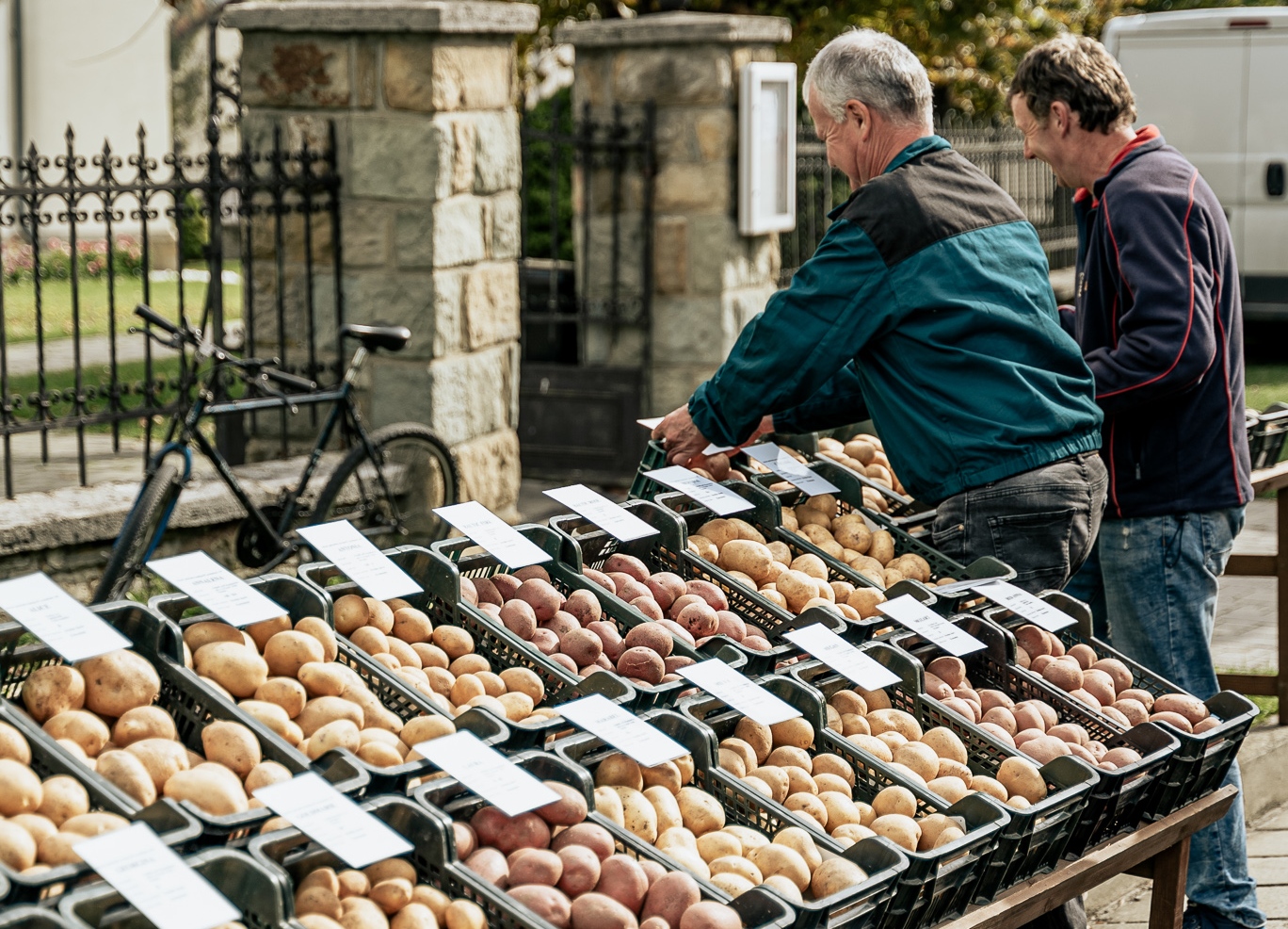 MŇAM! Spišskú Belú v sobotu zasypú zemiaky