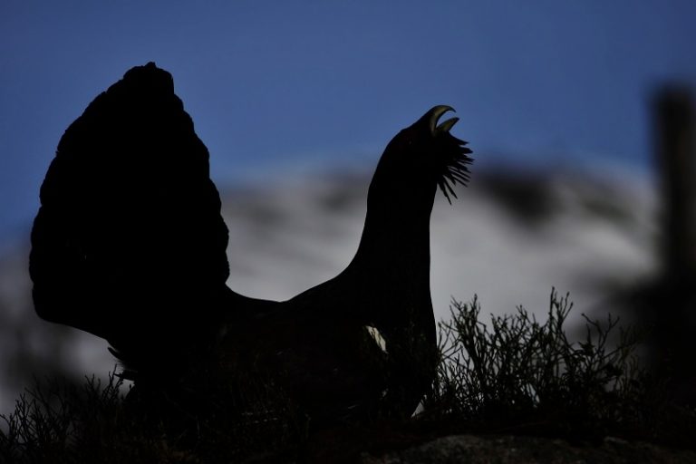 Ilustračná snímka. Foto: tanap.sk