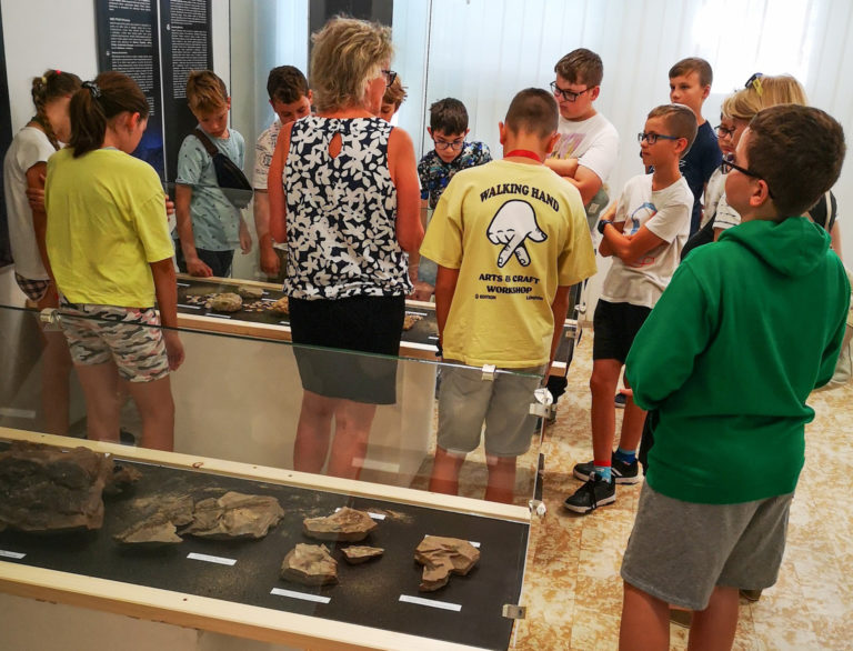 Zažite výlet do minulosti: Múzeum vystaví milióny rokov starý poklad