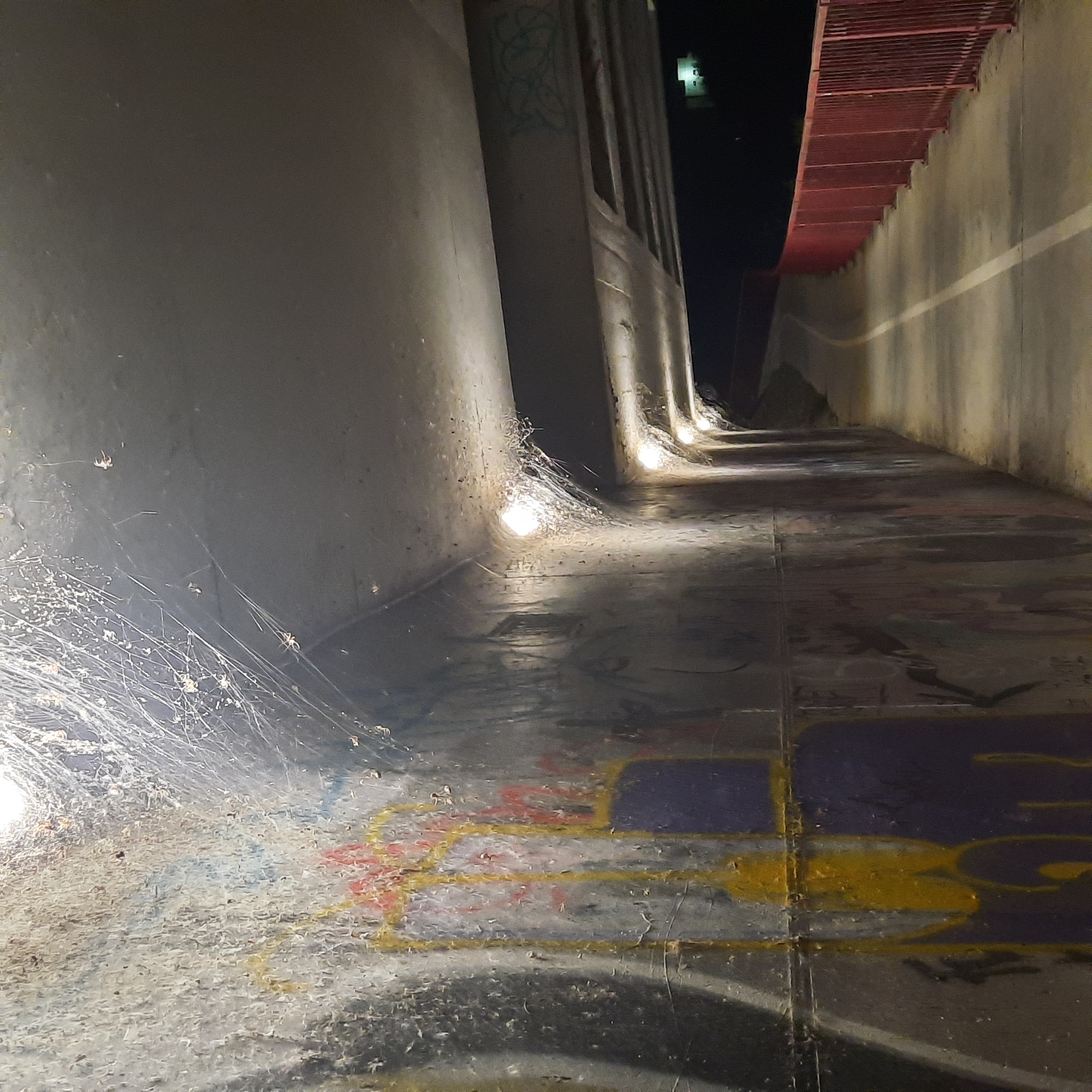 FOTO ako z hororu: Pavúčie mesto? Z prešovského podchodu vám príde nevoľno...