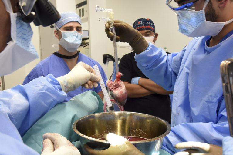 Ďalšiemu ľudskému pacientovi transplantovali prasacie srdce