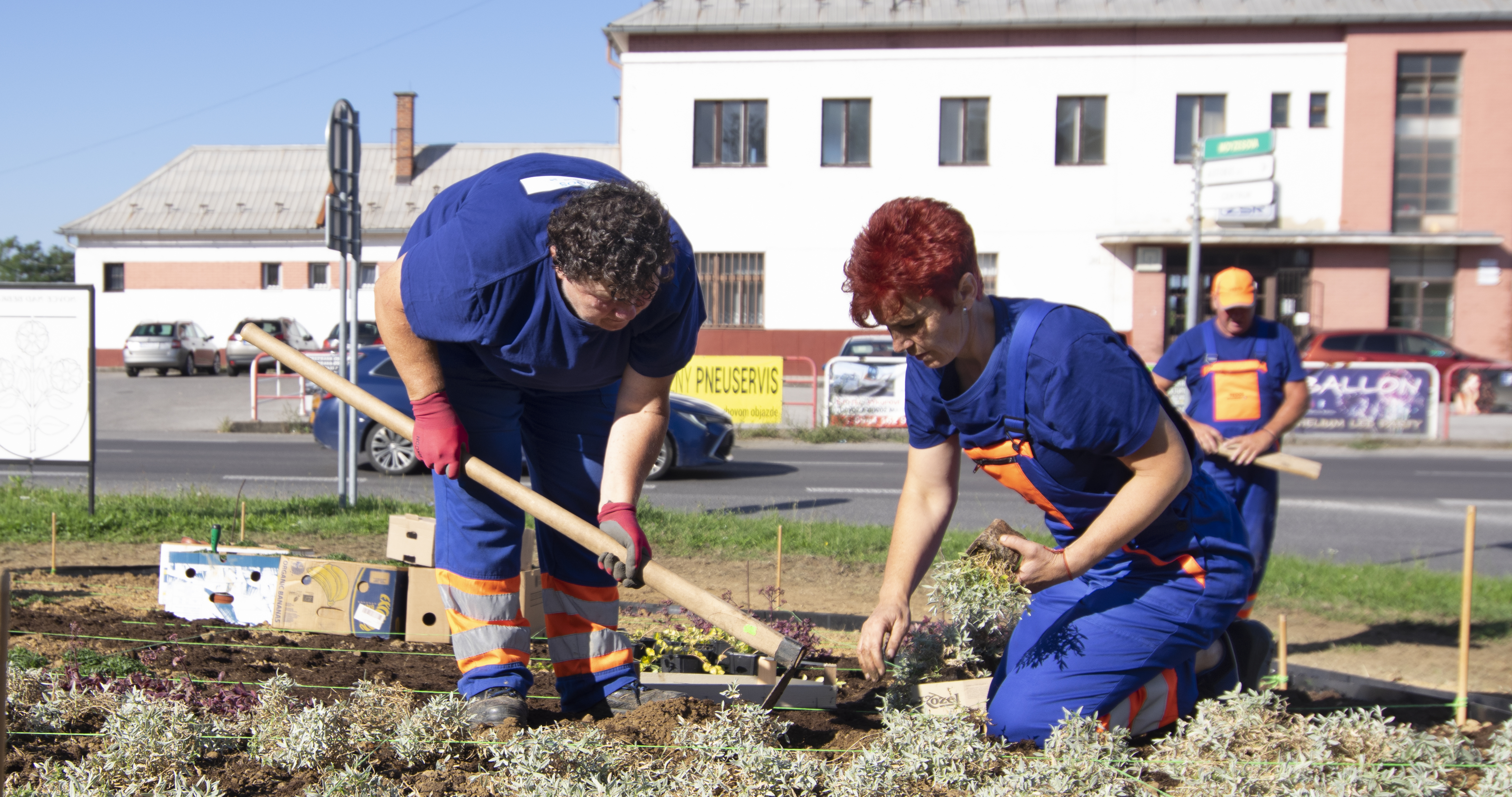 VIDEO: V Bánovciach vytvorili erb mesta z dvetisíc rastlín. Výsledok stojí za to