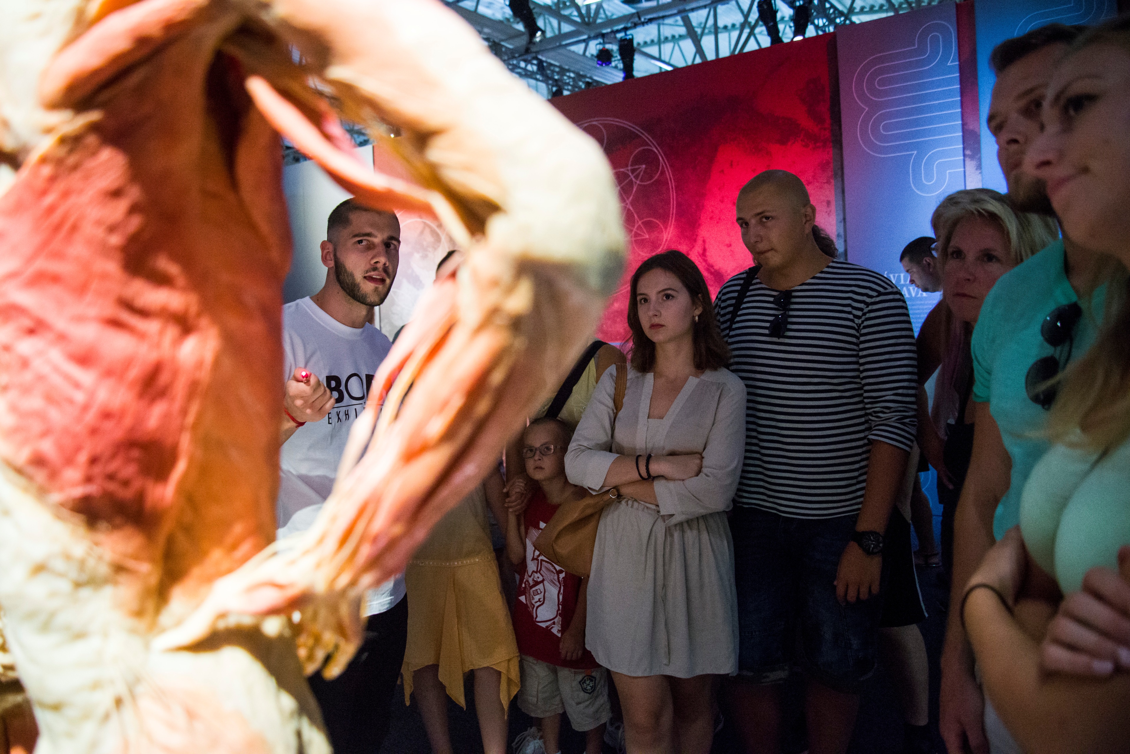 Výstava mŕtvych tiel je nezákonná, potvrdil Regionálny úrad verejného zdravotníctva