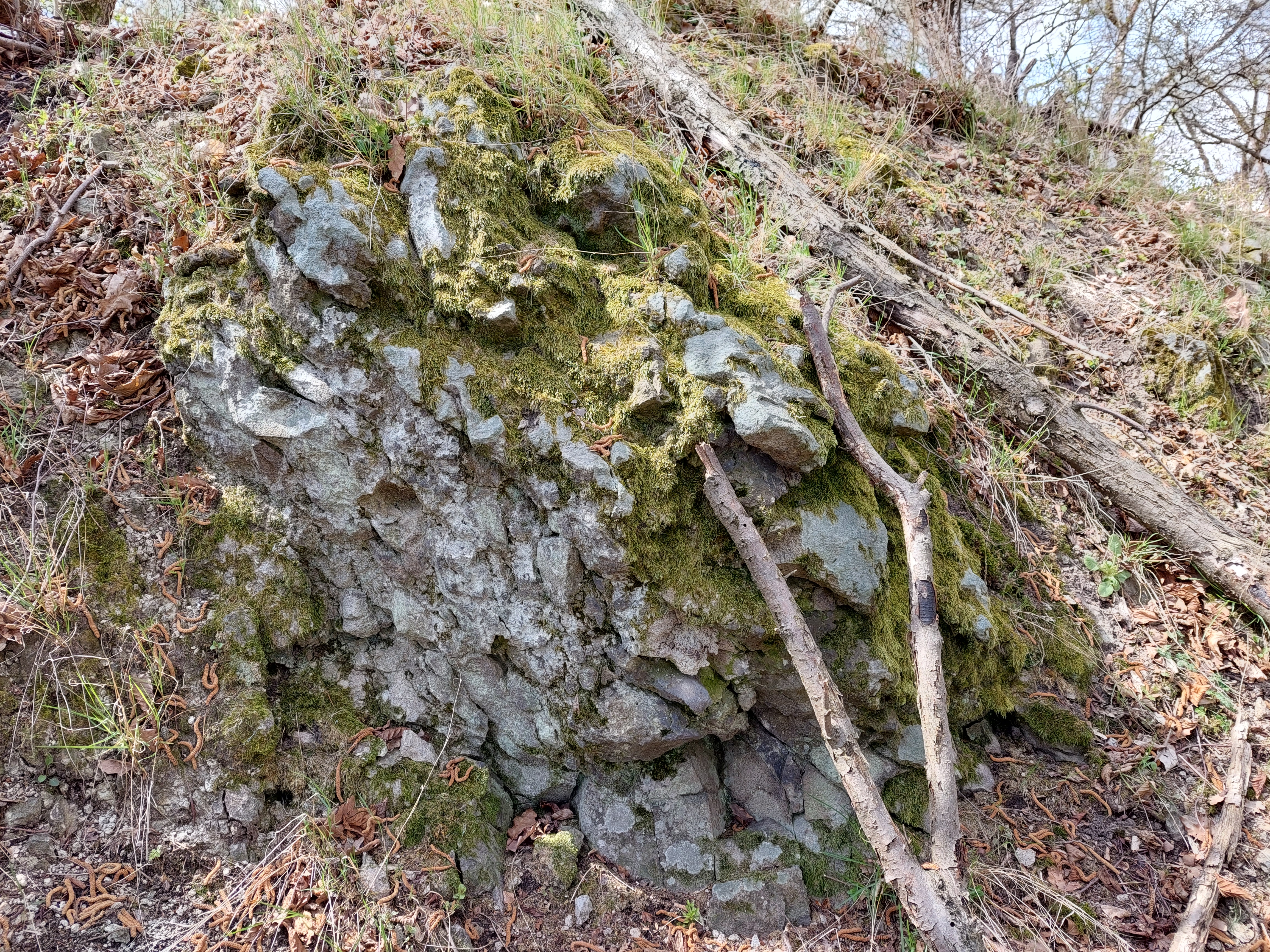 Hrádok Brestov má svoje tajomstvá. Cestou naň sa ponúkajú krásne výhľady