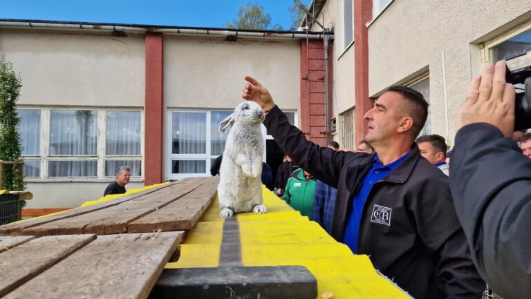 V Trenčianskom kraji sa konali tradičné hodové slávnosti i medzinárodná výstava