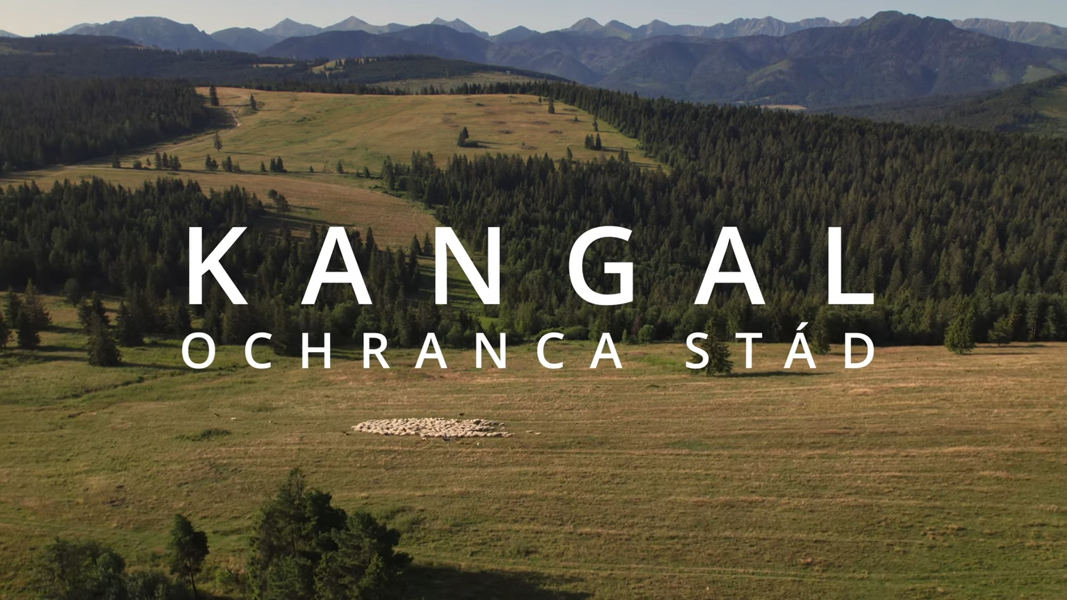 VIDEO: Oravský dokument získal ocenenie. V zahraničí tlieskajú našej prírode a tradíciám