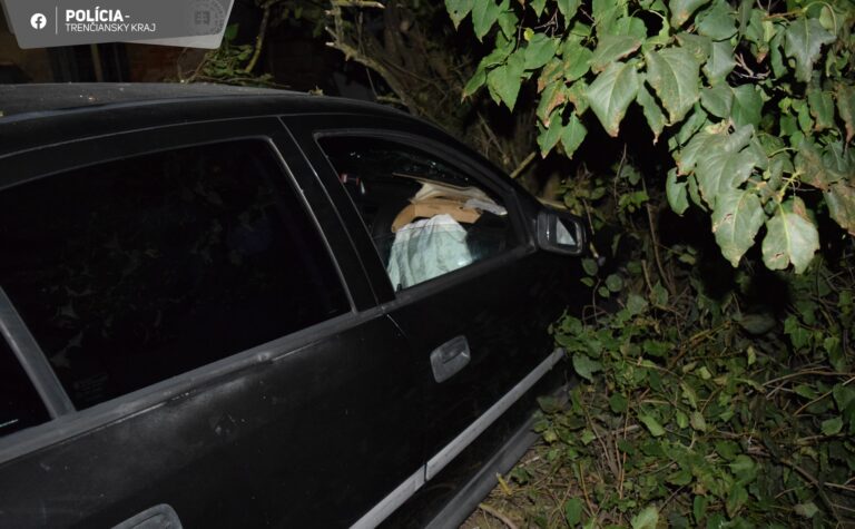 Polícia pátra po vodičovi, ktorý spôsobil dopravnú nehodu a nechal zamknuté auto v kríkoch