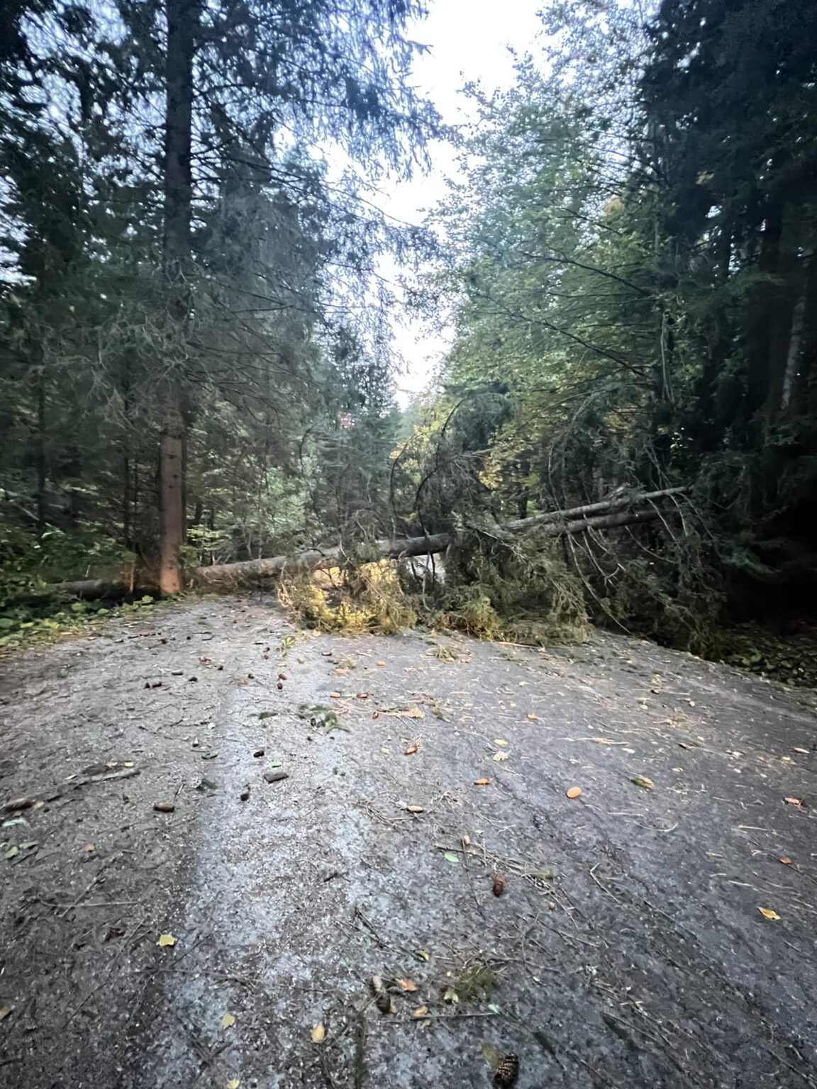 Ilustračný obrázok: Facebook