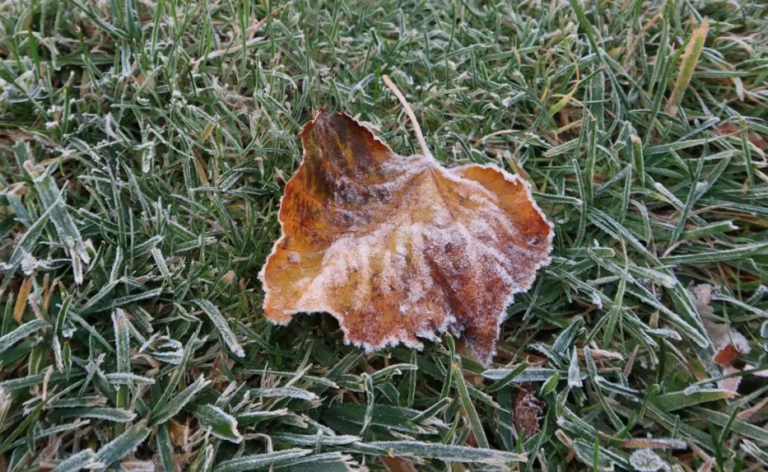 SHMÚ upozorňuje na mráz vo vegetačnom období vo viacerých okresoch